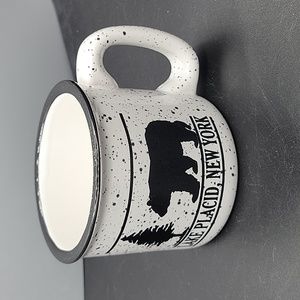 Liquid logic mug lake placid new york